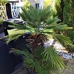 Moderne Original Design Bed & Breakfast Haguenau