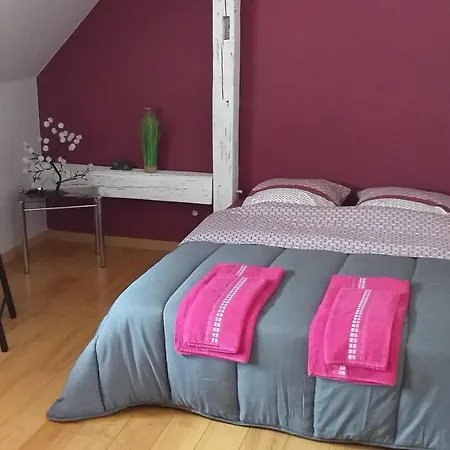 Nocleg ze śniadaniem Moderne Original Design Haguenau