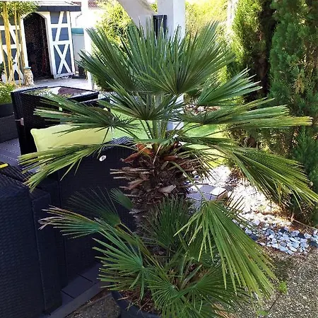 Moderne Original Design Bed & Breakfast Haguenau